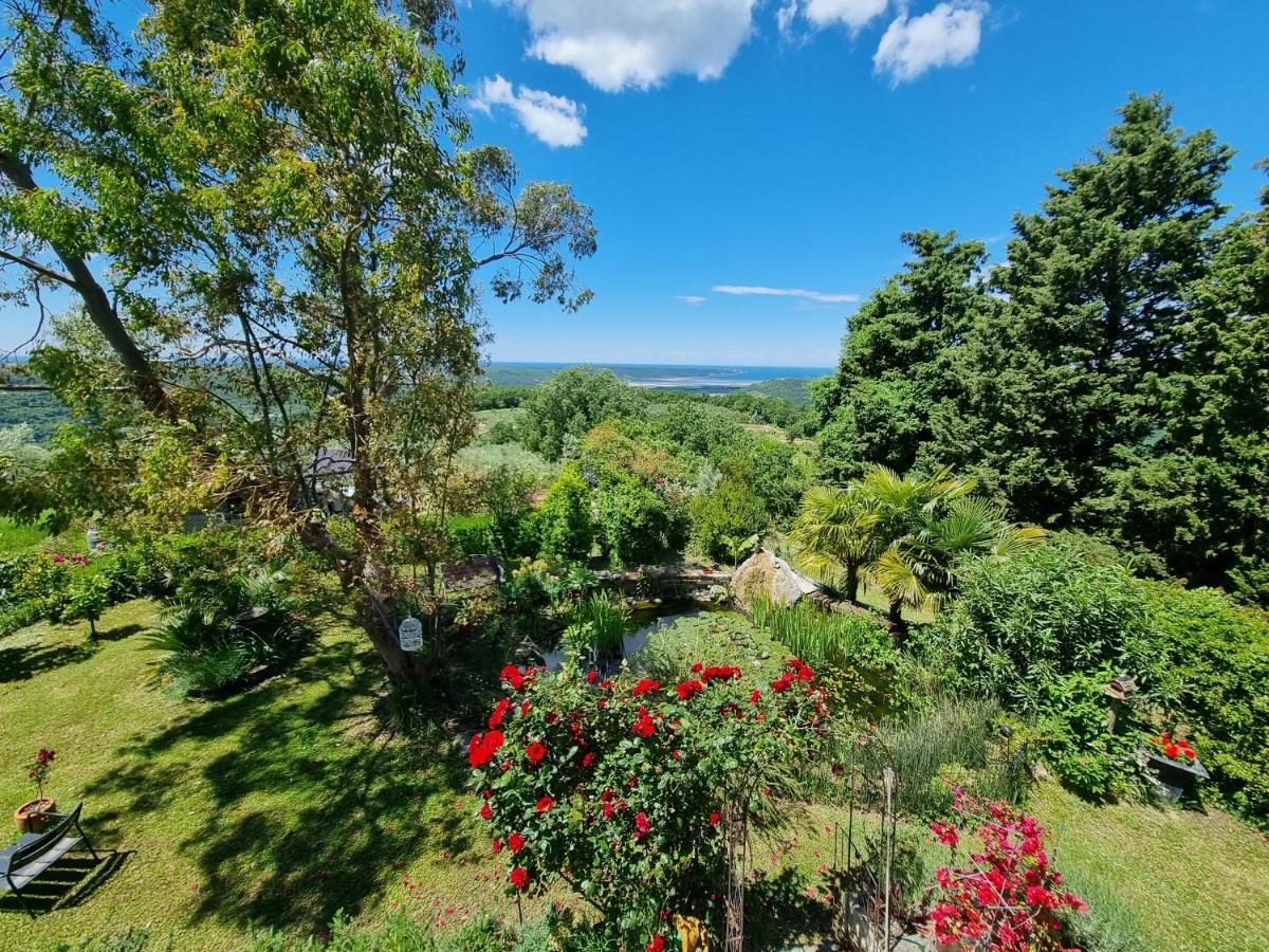Garden Apartment Sečovlje エクステリア 写真
